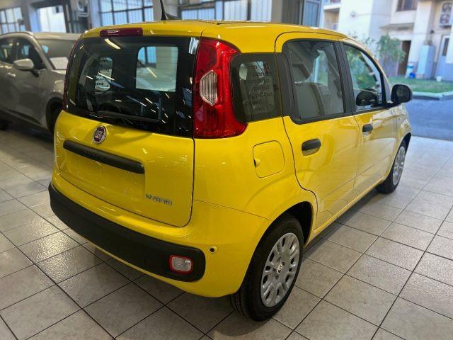 FIAT Panda 1.0 FireFly S&S Hybrid Icon