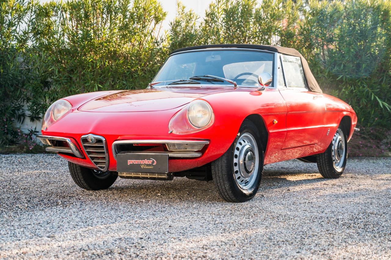 Alfa Romeo Spider 1600 Duetto ”Osso di Seppia”