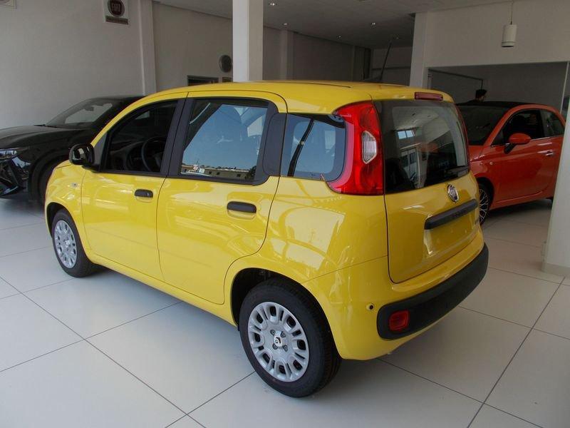 FIAT Pandina Pandina 1.0 FireFly 65 CV Hybrid Pop 338.7575187 MASSARI MARCO