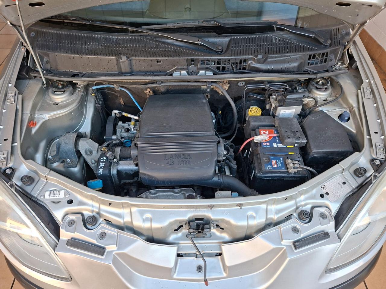 Lancia Ypsilon 1.2 8v Argento, adatta anche ai neop.