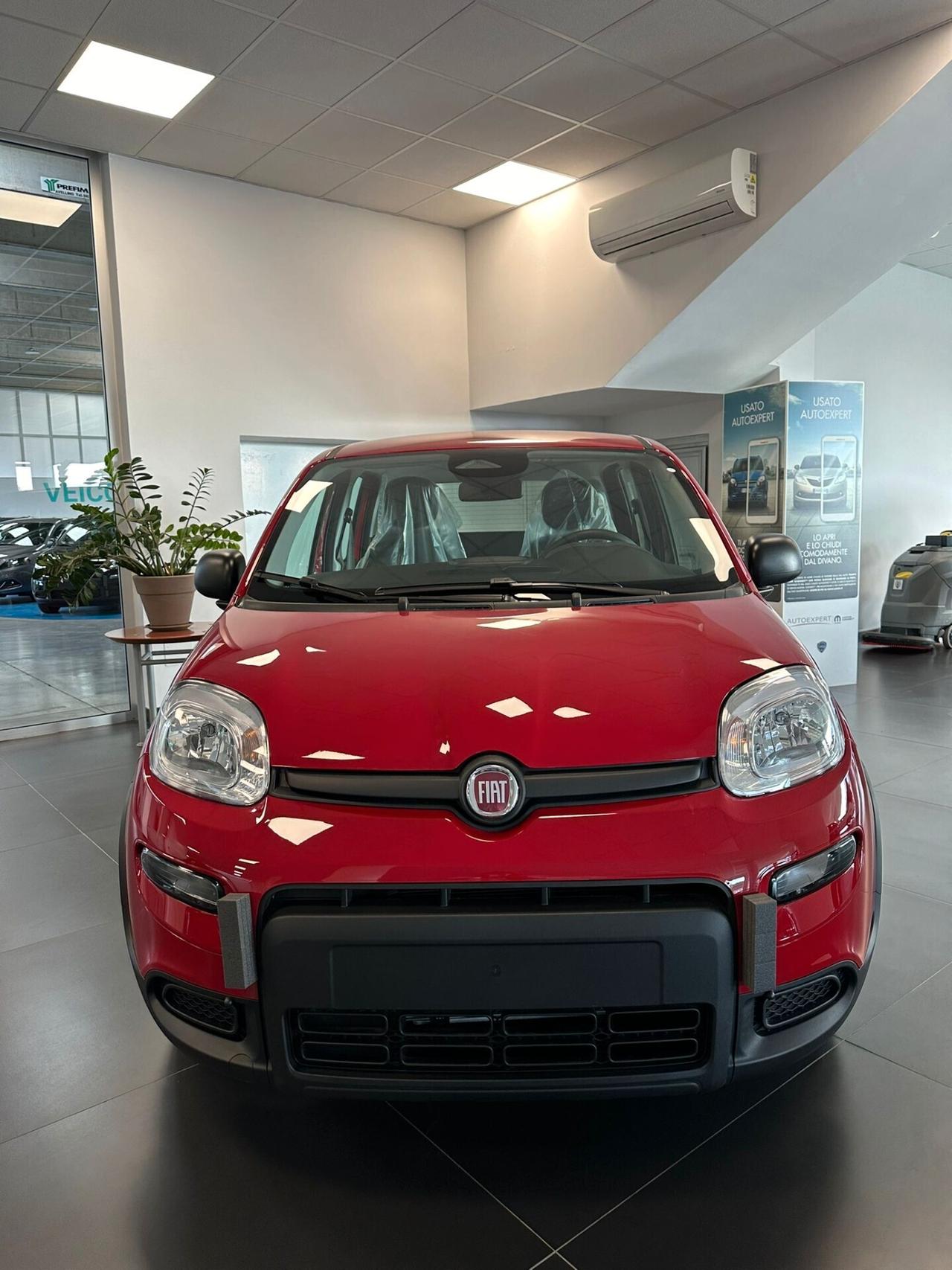 FIAT PANDA 1.0 Hybrid KM 0 2024 Nuova PANDINA