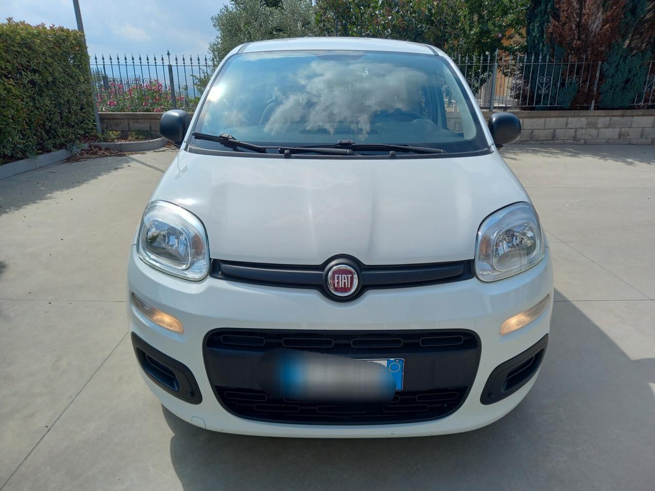 Fiat Panda BENZINA 5 POSTI 2021