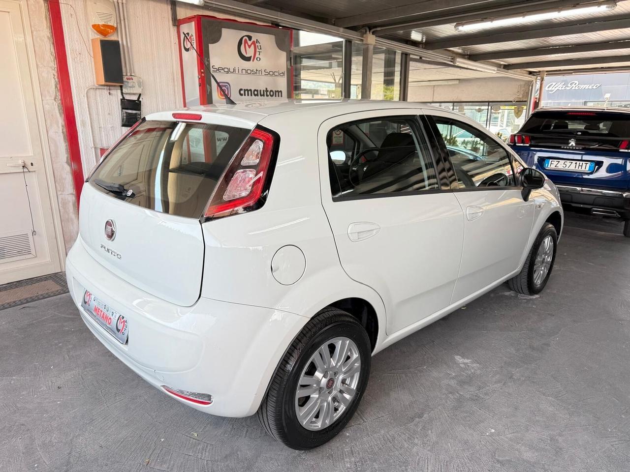 Fiat Punto 1.4 8V 5 porte Natural Power Lounge METANO