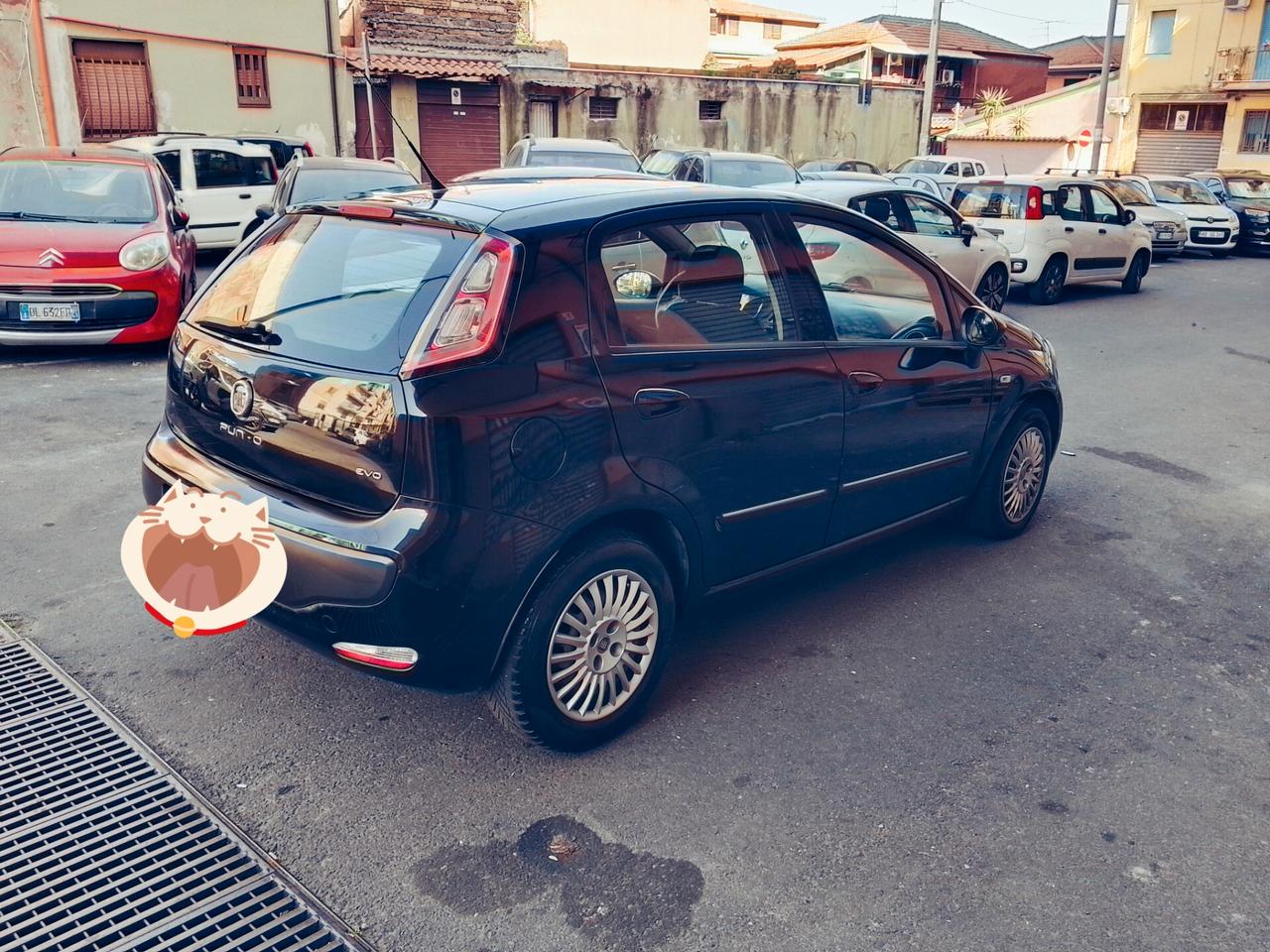Fiat Punto Evo 1.3 Mjt 75 CV 5 porte Dynamic
