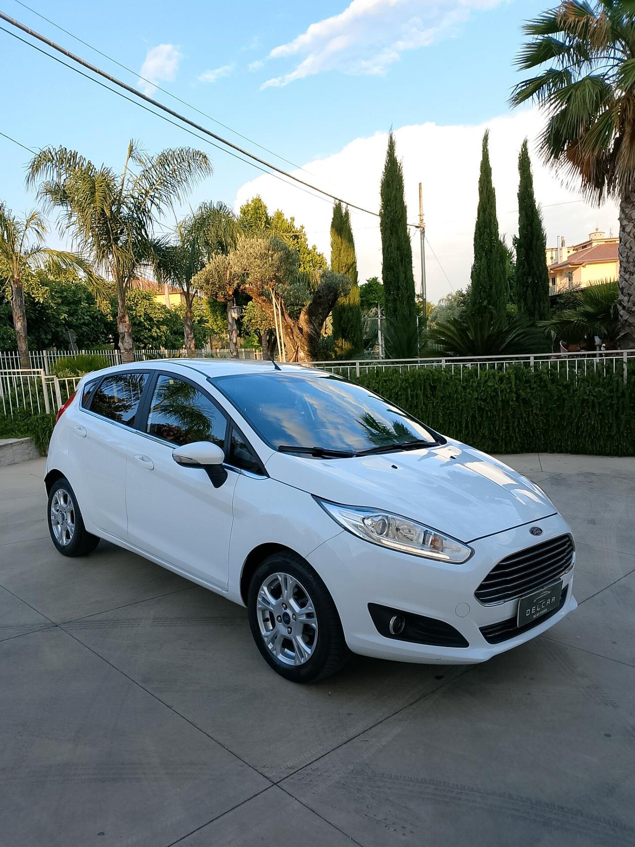 Ford Fiesta 1.4 5 porte Bz.- GPL Black & White Edition
