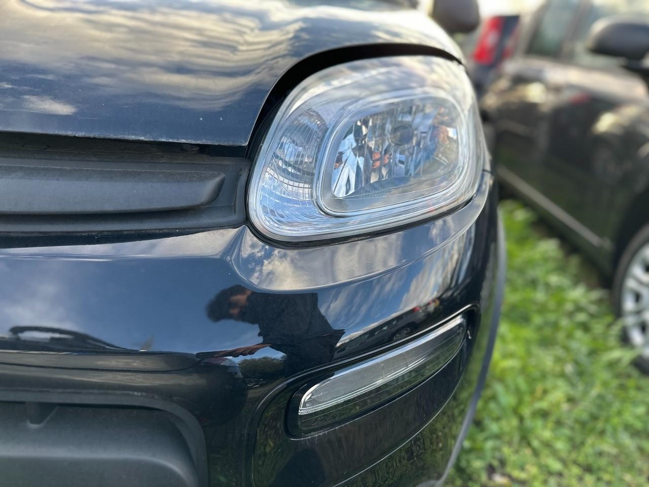 FIAT Panda III 2021 - Panda 1.0 firefly hybrid s&s 70cv 5p.ti