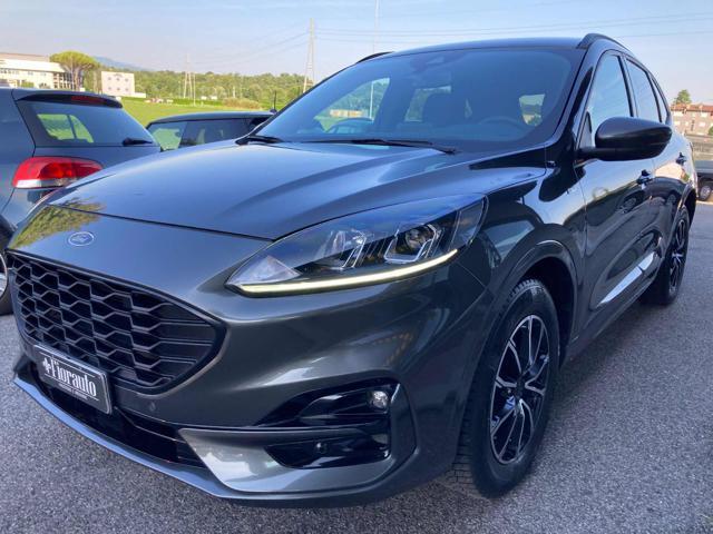 FORD Kuga 1.5 EcoBlue 120 CV 2WD ST-Line