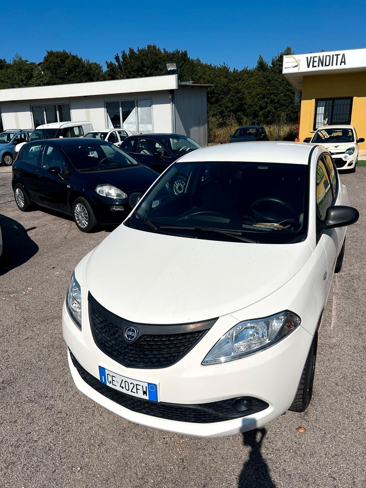 Lancia Ypsilon 1.0 FireFly 5 porte S&S Hybrid Ecochic