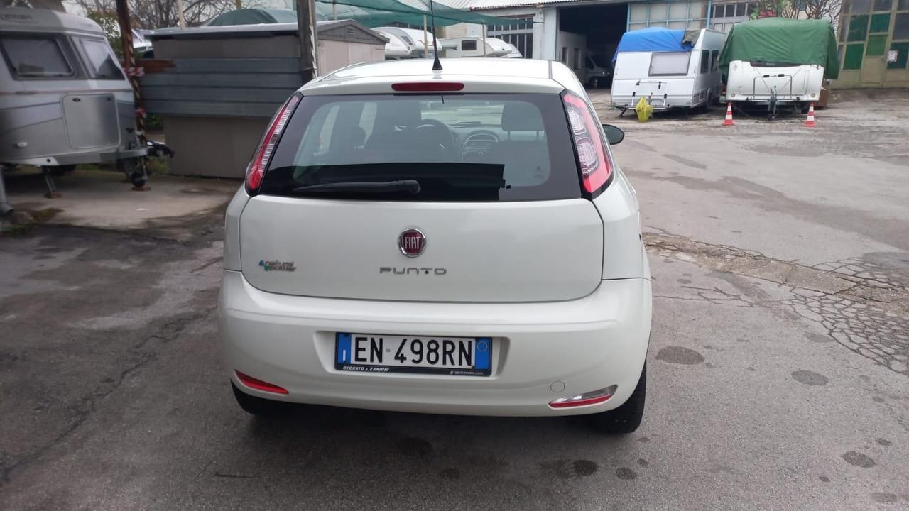 Fiat Punto 1.4 8V 5 porte Natural Power Pop