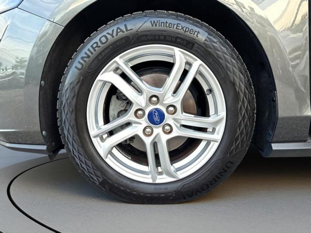 FORD Focus 1.5 EcoBlue 120 CV 5p. Business