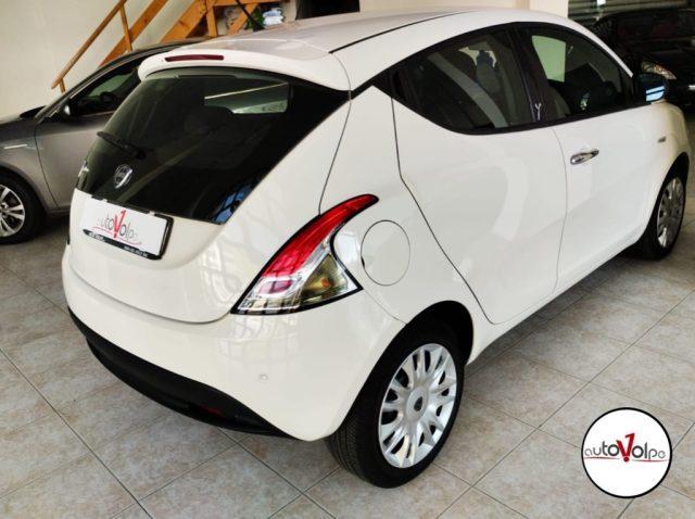 LANCIA Ypsilon 1.2 69 CV 5 porte Gold
