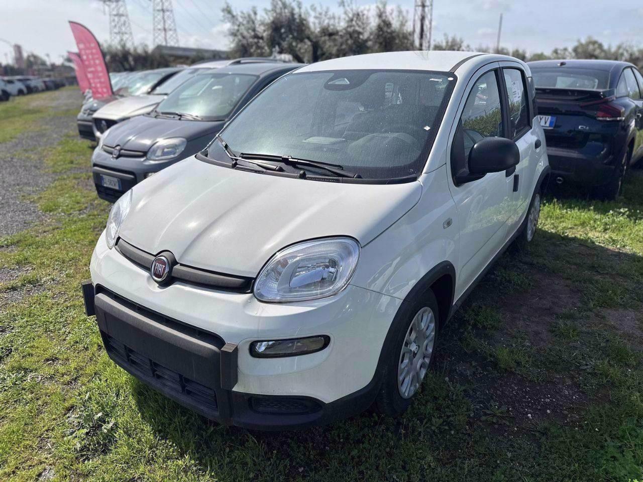 FIAT Pandina III 2024 - Pandina 1.0 firefly hybrid Pop s&s 70cv