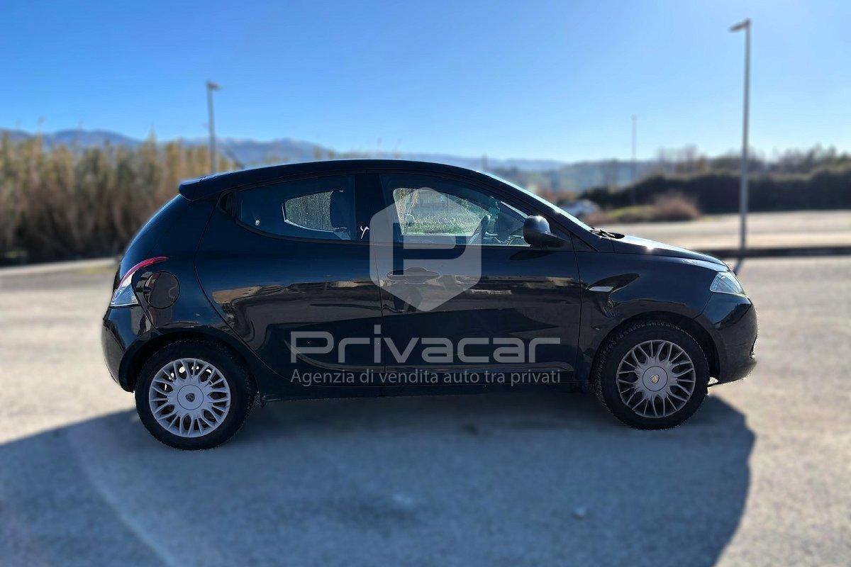 LANCIA Ypsilon 1.2 69 CV 5 porte Elle