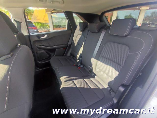 FORD Kuga 1.5 EcoBlue 120 CV 2WD Titanium