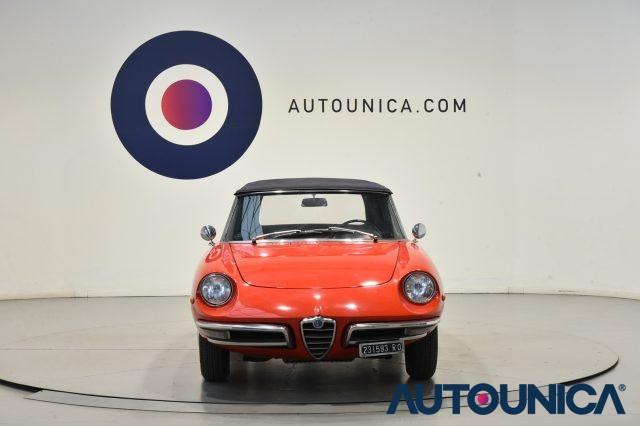 ALFA ROMEO Spider 1300 JUNIOR OSSO DI SEPPIA ASI TARGA ORO