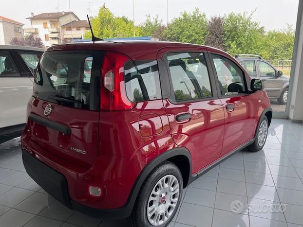 FIAT Panda 1.0 70cv Hybrid Panda N71578