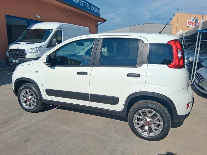 Fiat Panda 0.9 TwinAir Turbo S&S 4x4 VAN