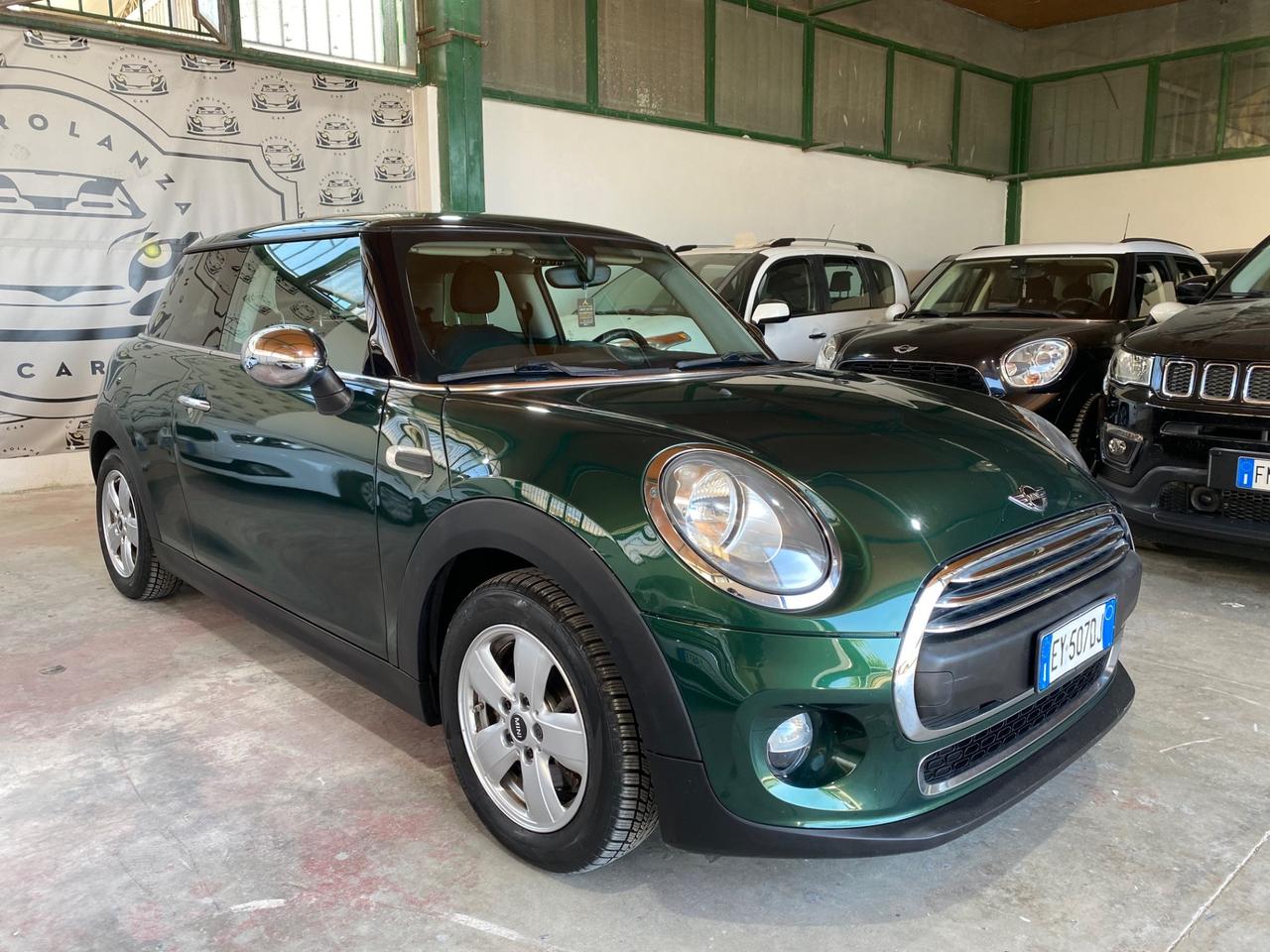 Mini 1.5 One D