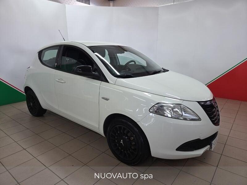 Lancia Ypsilon 1.2 69cv Elefantno