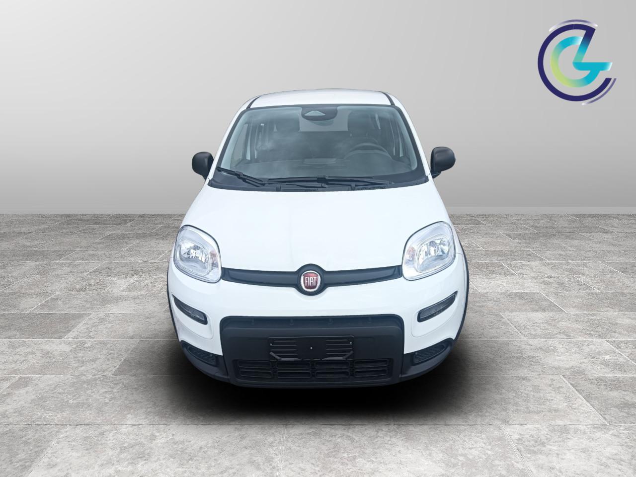 FIAT Panda III 2024 - Panda 1.0 firefly hybrid s&s 70cv