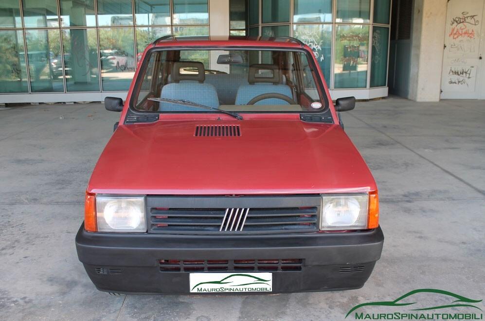 Fiat Panda 1100 i.e. cat Young