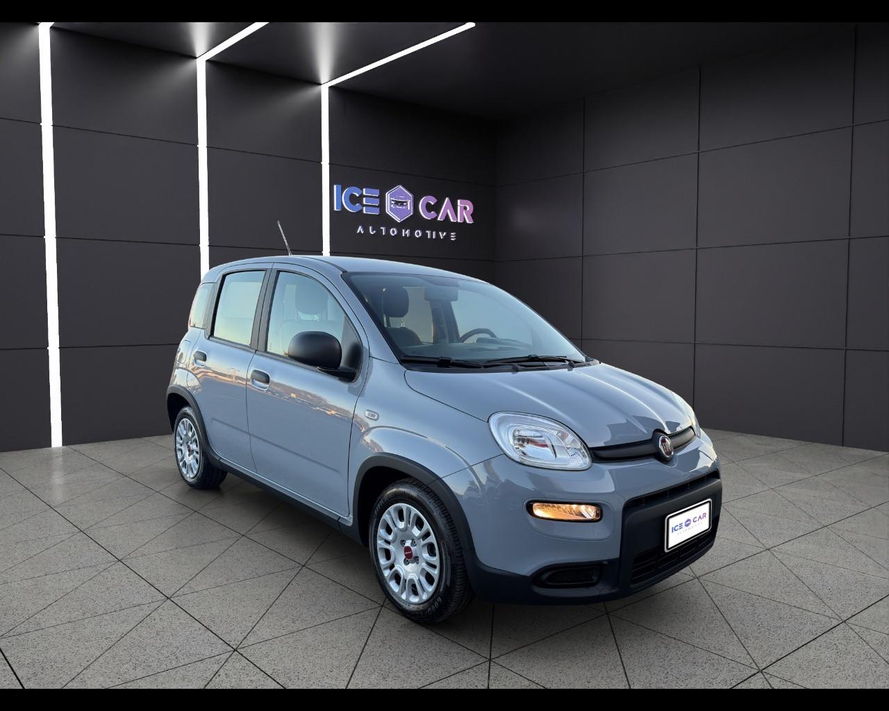 FIAT Panda 3ª serie - Panda 1.0 FireFly S&S Hybrid