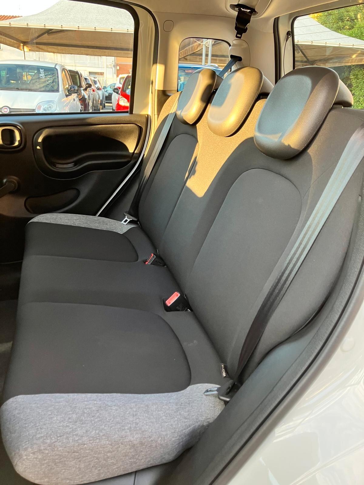 FIAT PANDA 1.0 70cv S&S Hybrid City Life
