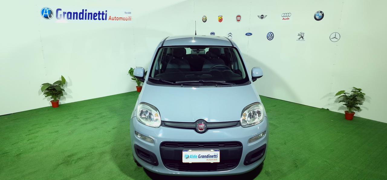 FIAT PANDA 1.3 95CV Easy ANNO 2017
