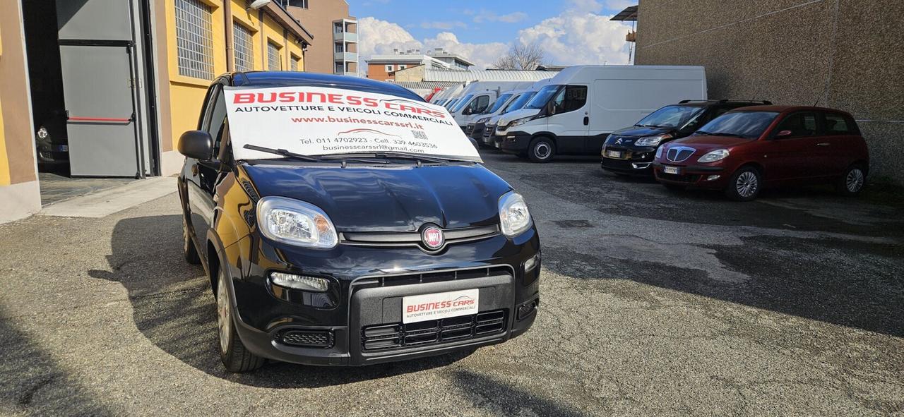 Fiat Panda 1.0 FireFly S&S Hybrid 70 CV KM. 15000 PRONTA CONSEGNA - AUTO PER NEOPATENTATI