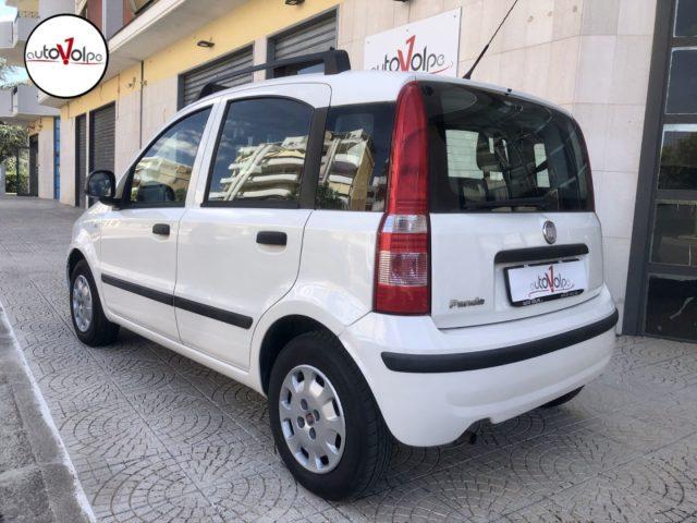 FIAT Panda 1.2i 70cv Classic