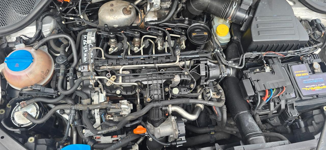 Volkswagen Polo 1.6 TDI 90CV DPF 5 porte Highline