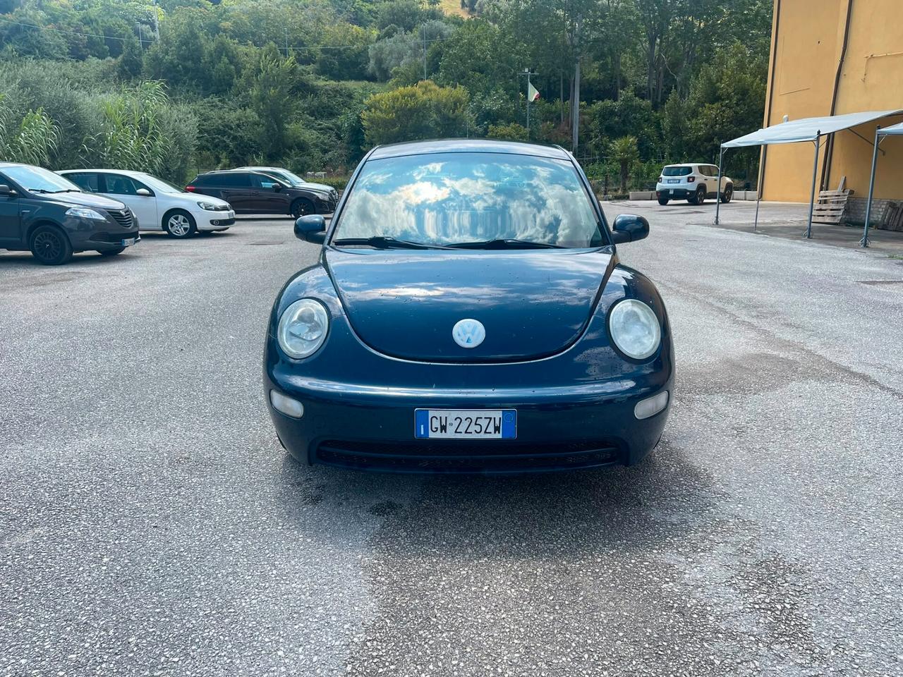 Volkswagen New Beetle 1.9 TDI