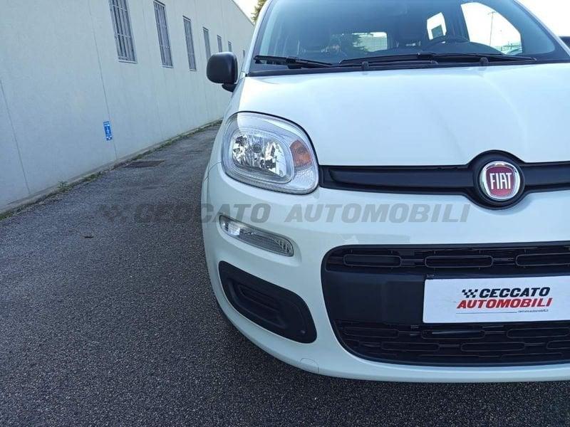 FIAT Pandina Pandina 1.0 65cv Hybrid Icon