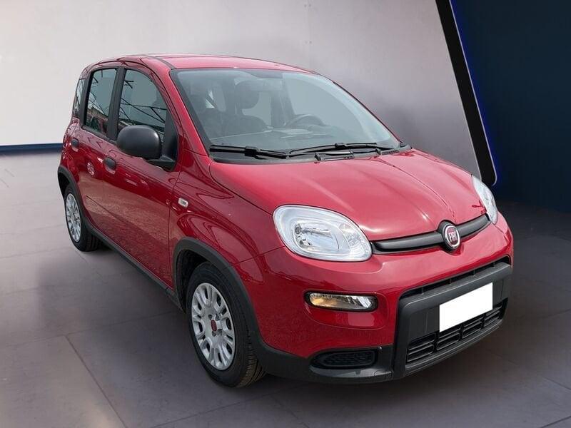 FIAT Panda My24 1.0 70cv Hybrid Panda