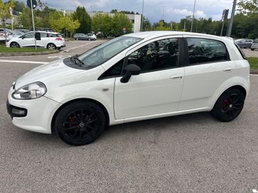 Fiat Punto Evo 1.2 5 porte S&S Dynamic*Neo patentati *