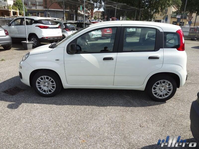 FIAT Panda MY25 1.0 70cv Hybrid