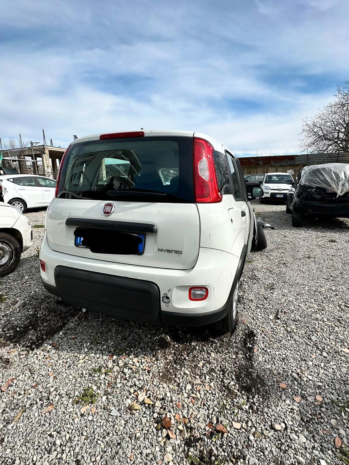 Fiat Panda 1.0 Hybrid 05/2023 sinitrata