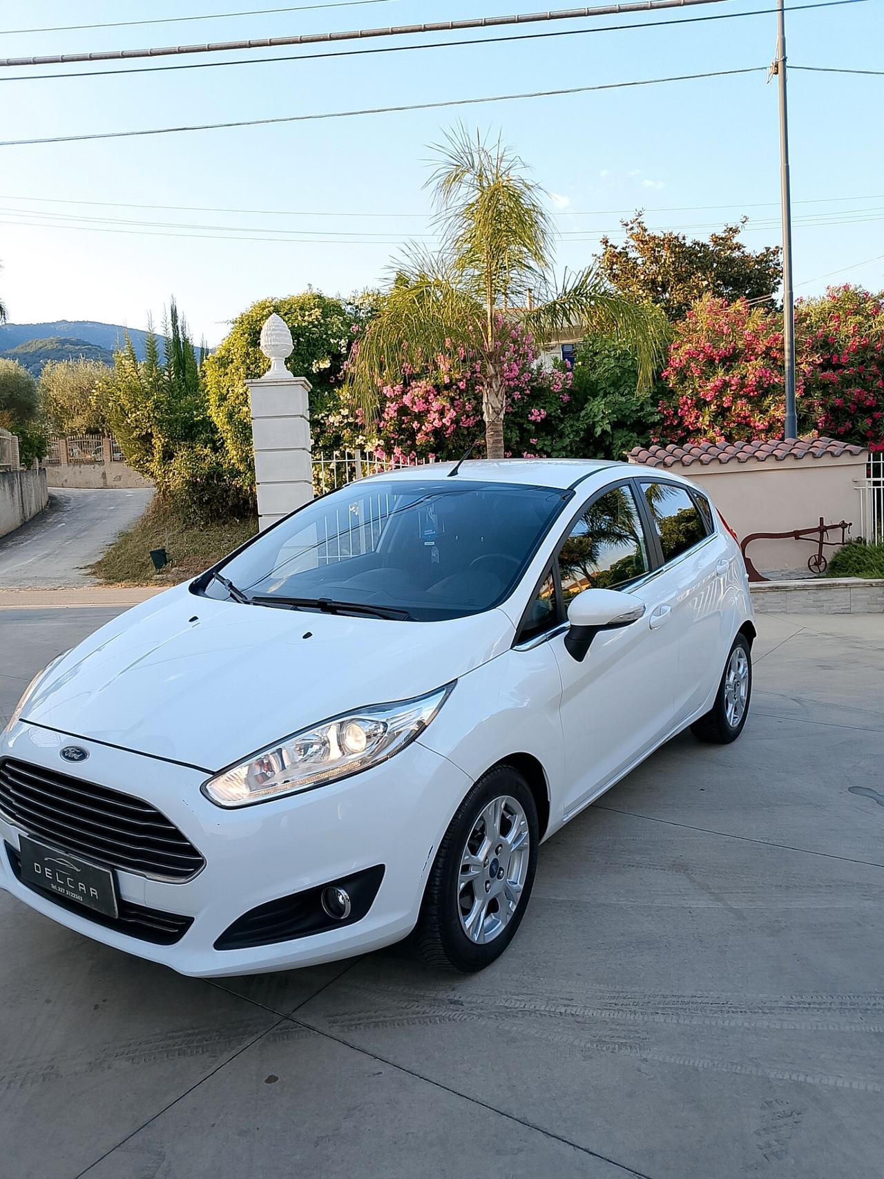 Ford Fiesta 1.4 5 porte Bz.- GPL Black & White Edition