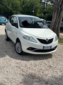 Lancia Ypsilon 0.9 TwinAir 85 CV 5 porte Metano Ecochic Platinum