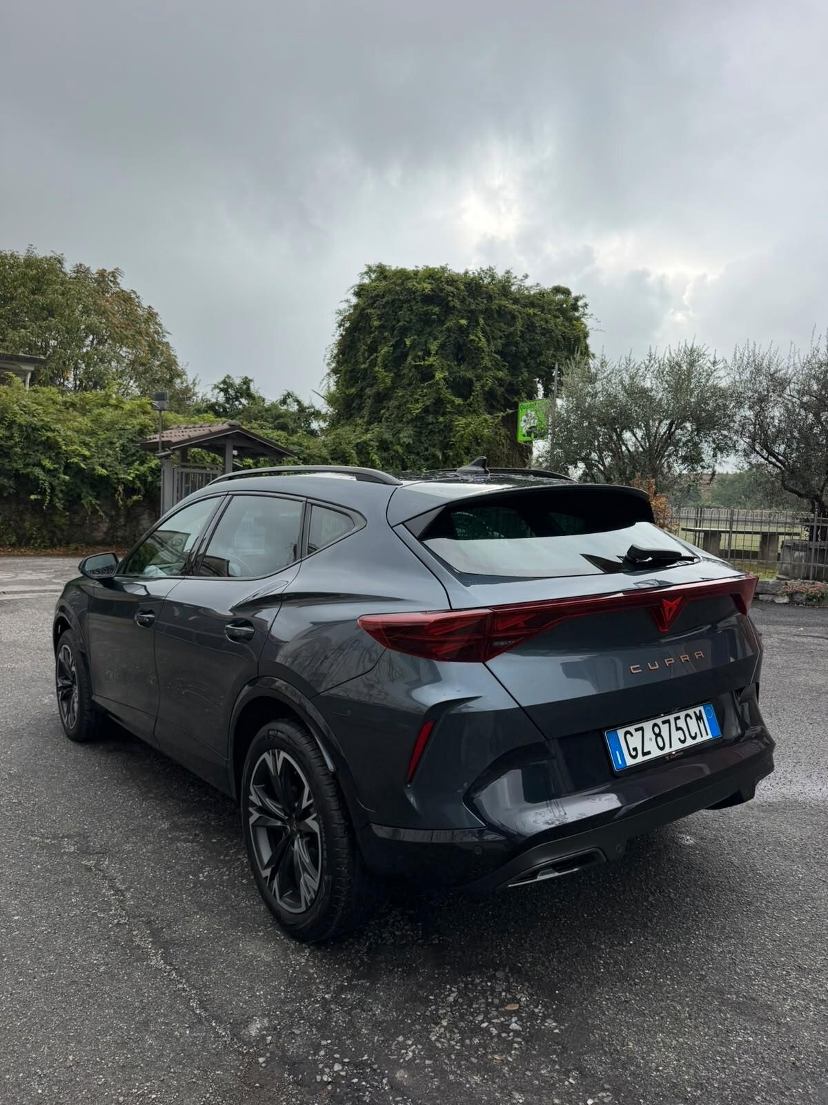 Cupra Formentor 2.0 TDI DSG TRIBE EDITION