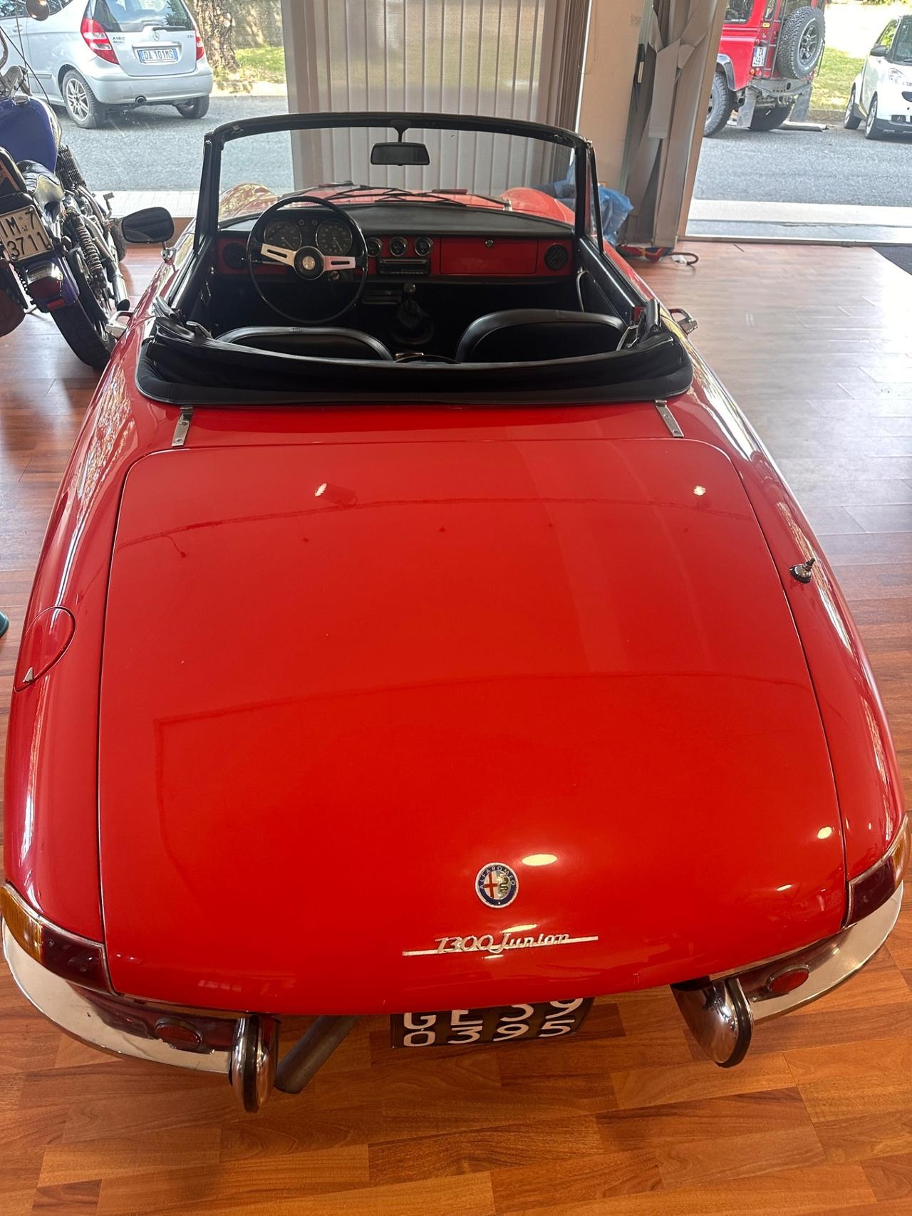 Alfa Romeo Spider Duetto Osso di seppia