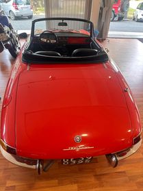 Alfa Romeo Spider Duetto Osso di seppia