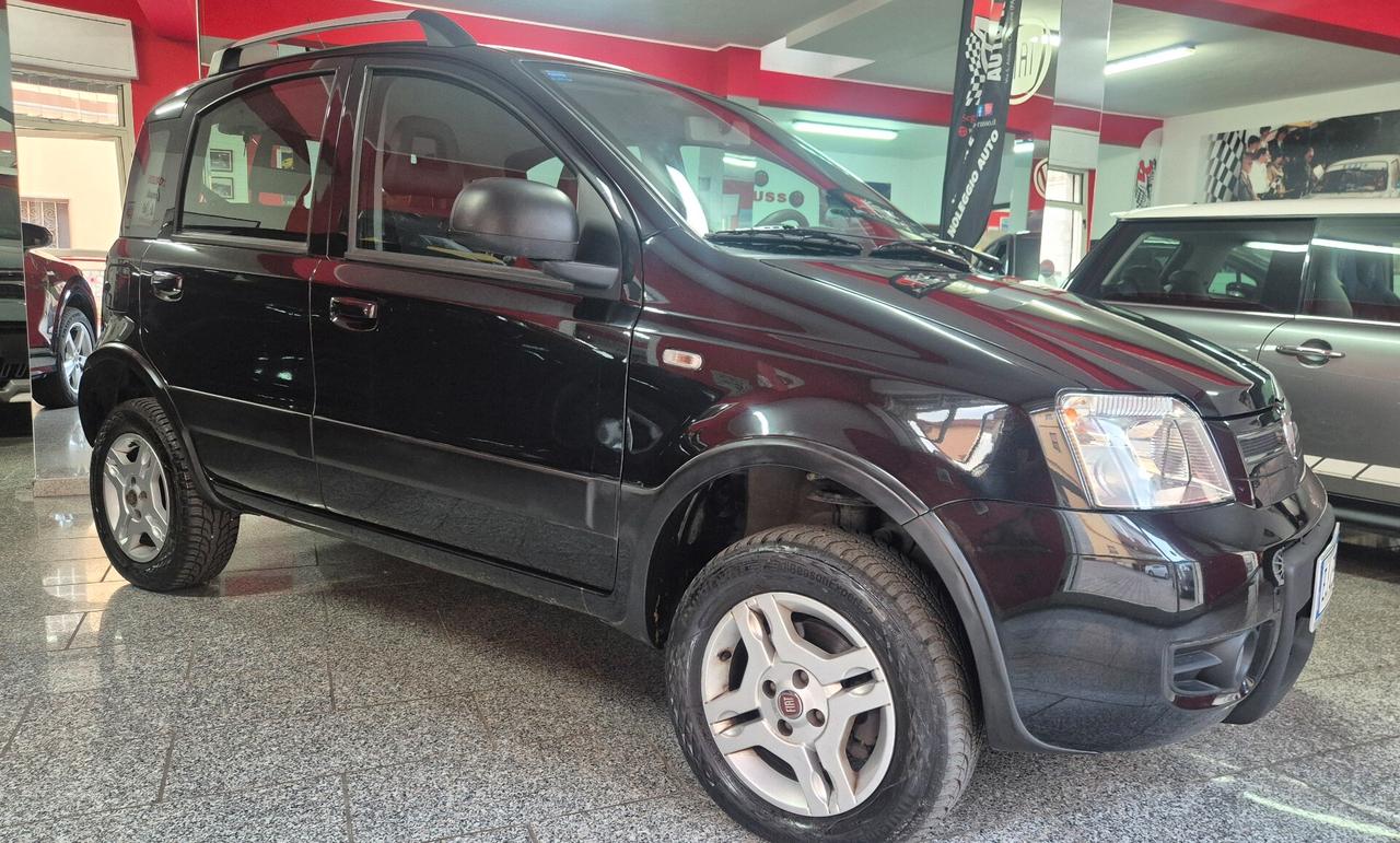 Fiat Panda 1.3 MJT 16V DPF 4x4 Climbing
