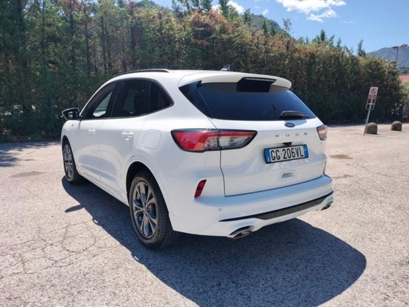 Ford Kuga Kuga 1.5 EcoBlue 120 CV 2WD ST-Line