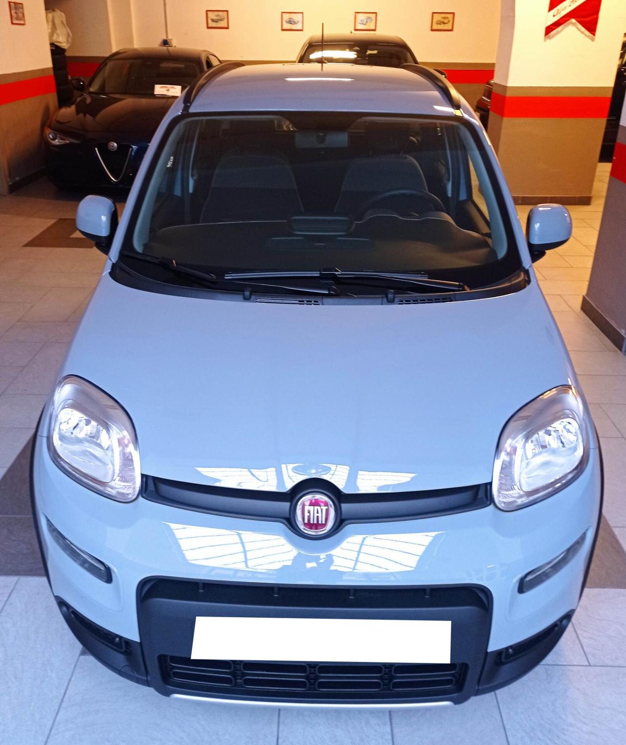 Fiat Panda 1.0 FireFly S&S Hybrid