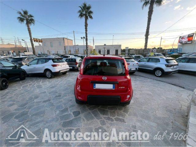 FIAT Panda 3° serie 1.0 FireFly S&S Hybrid City Life