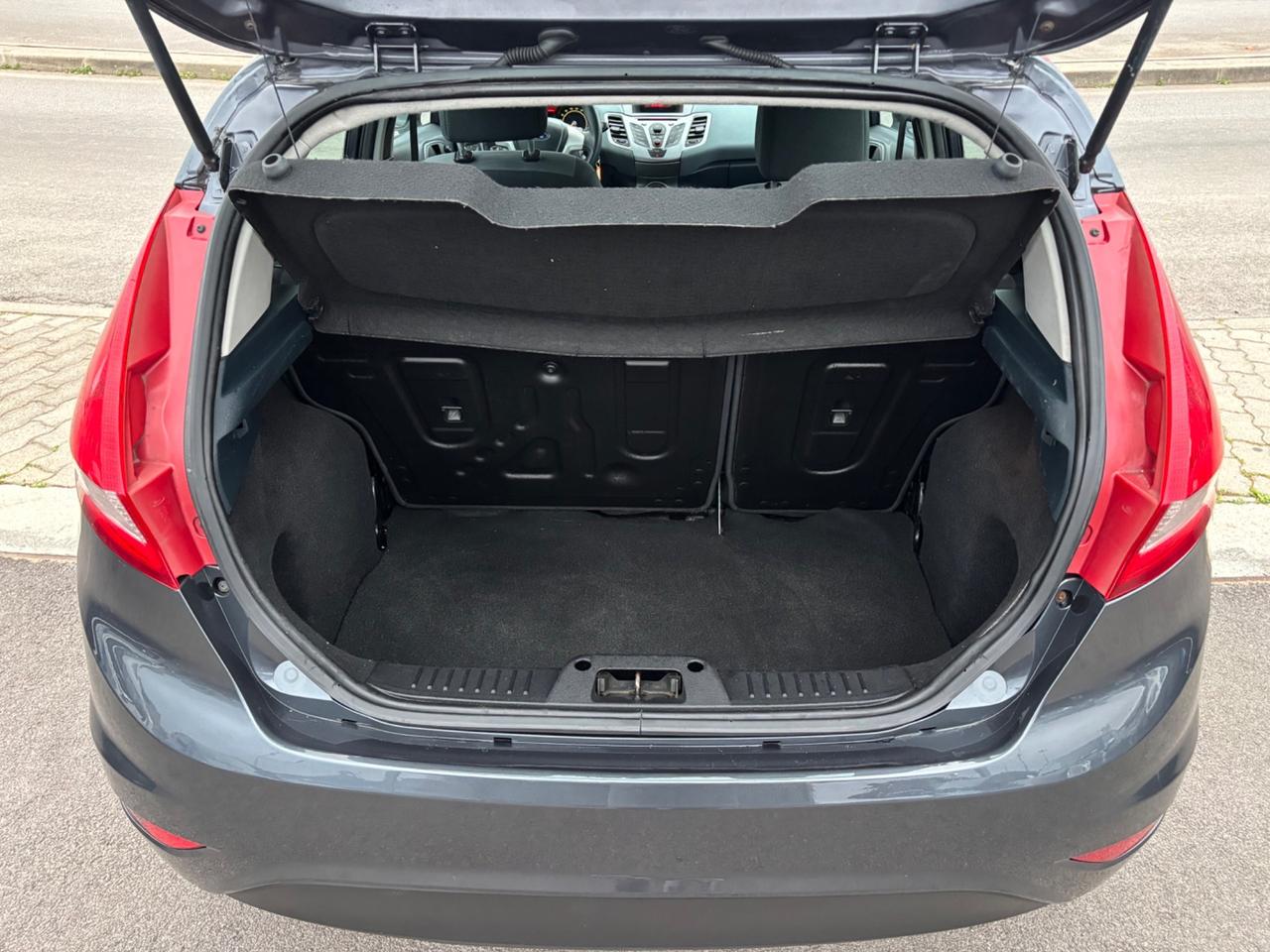 Ford Fiesta 1.4 TDCi 68CV 5 porte Titanium