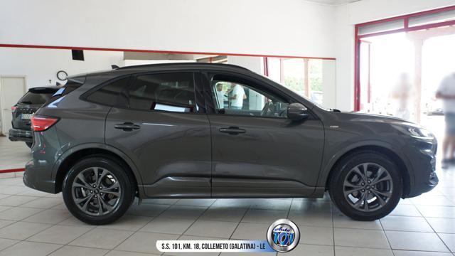 FORD Kuga 1.5 EcoBlue 120 CV aut. 2WD ST-Line