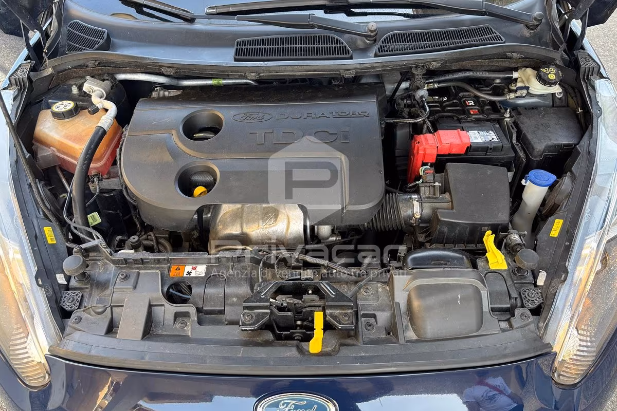 FORD Fiesta 1.5 TDCi 75CV 5 porte