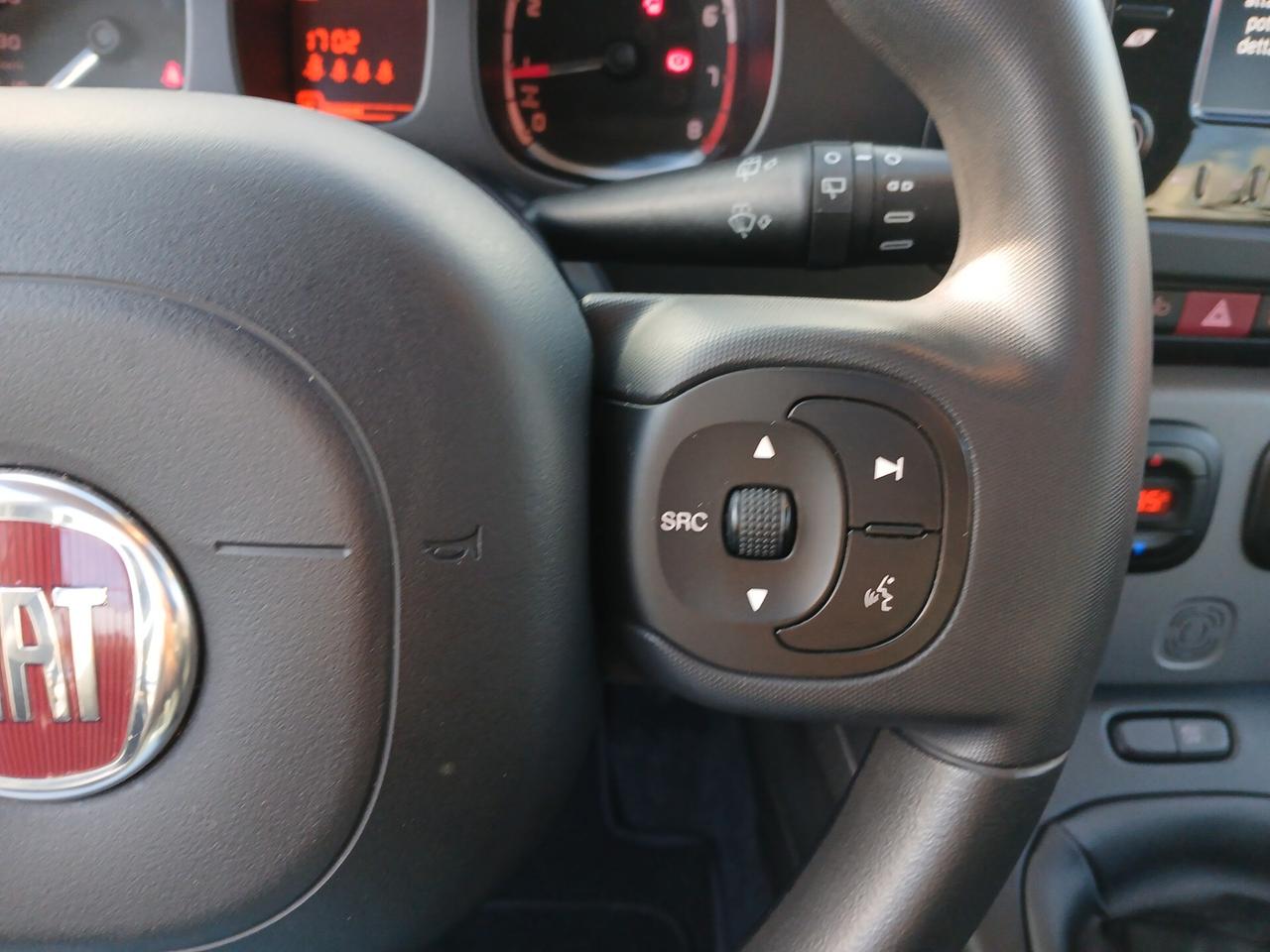 FIAT PANDA 1.0 HYBRID CITY LIFE 2023